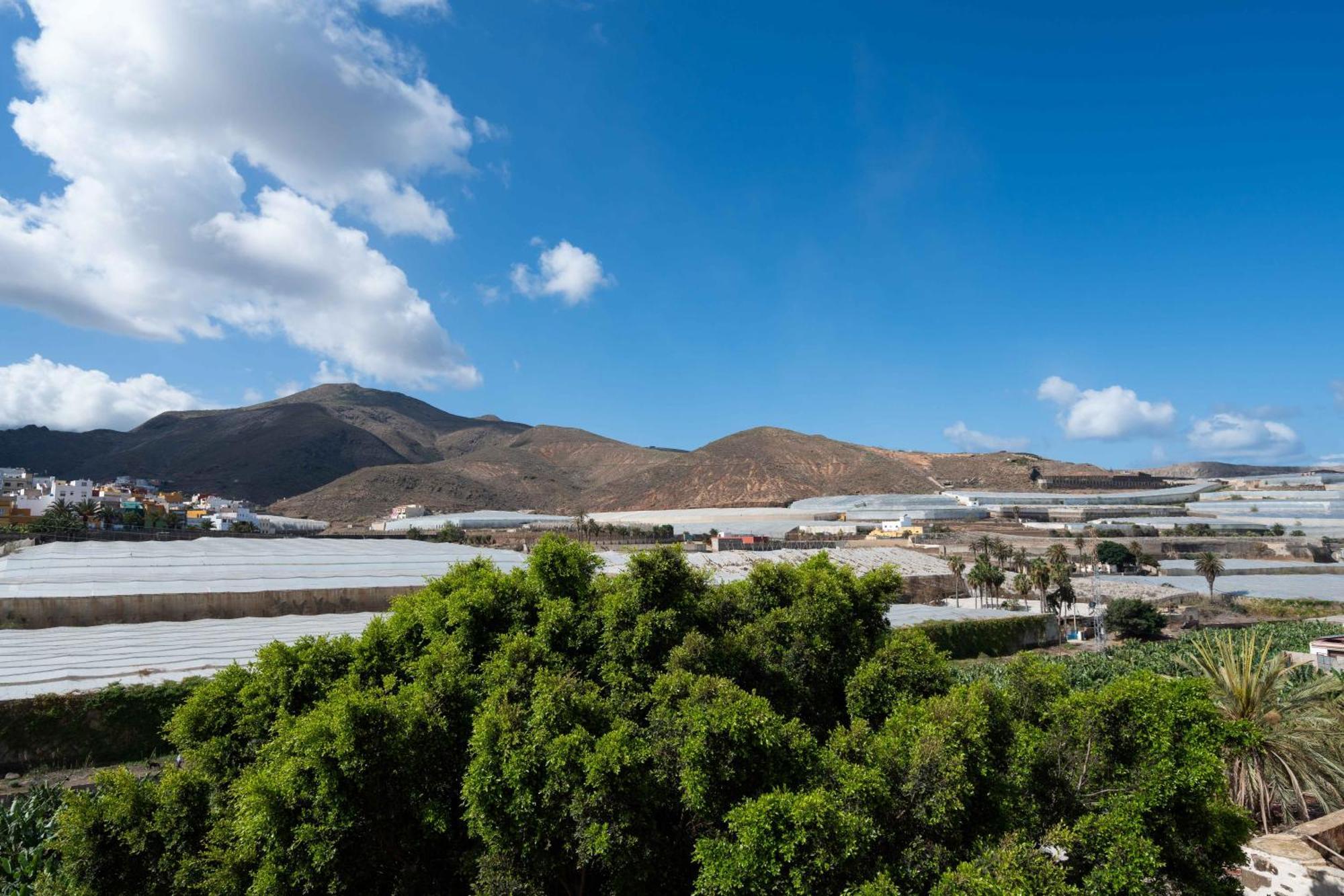 Las Fajanas De Galdar Las Palmas de Gran Canaria Eksteriør billede